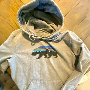 Patagonia gray hoodie. Good condition.